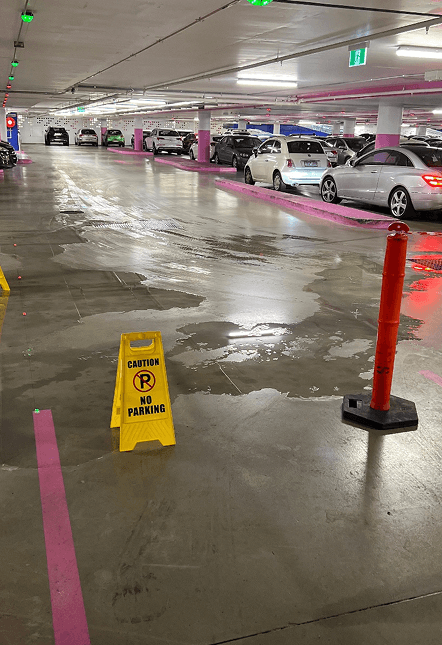 Water Damage Assessment