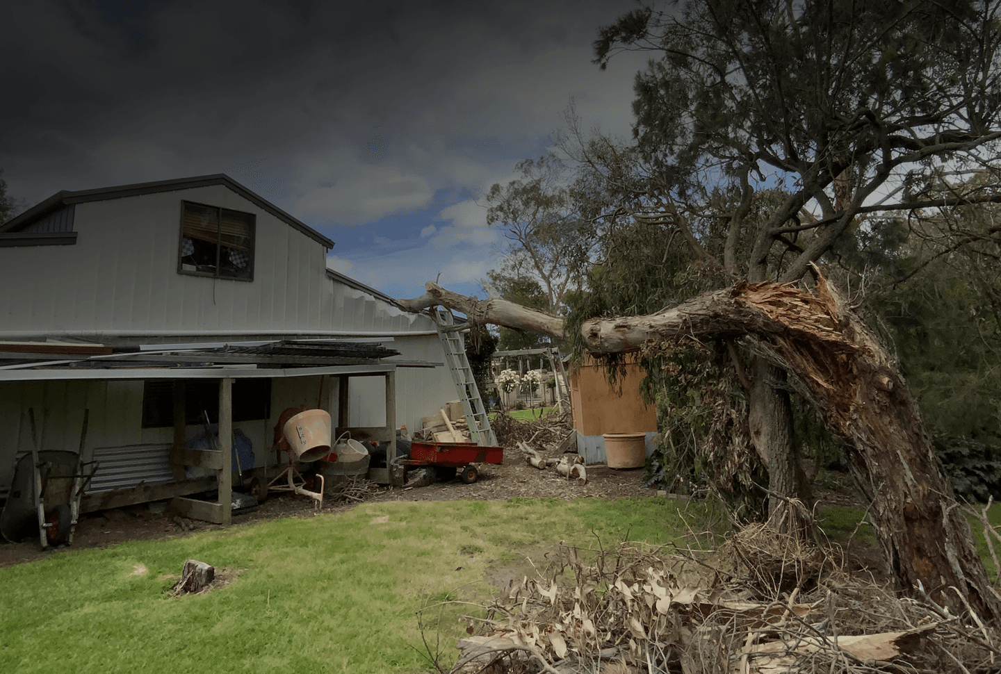 Providing a Clear Path Forward.