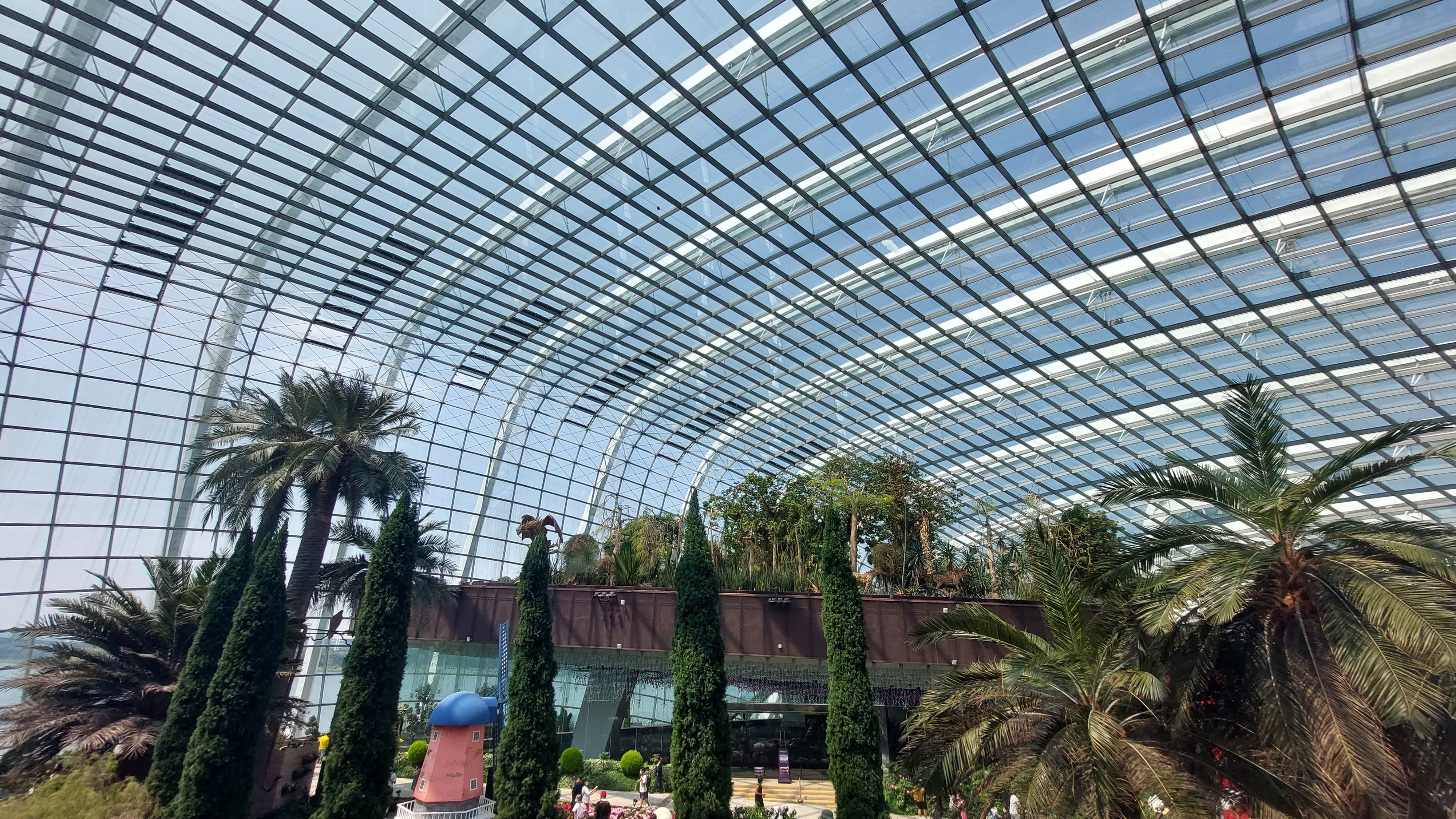 Large glass and steel conservatory with tropical planting